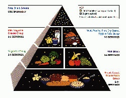 Pirámide Alimentos 1959