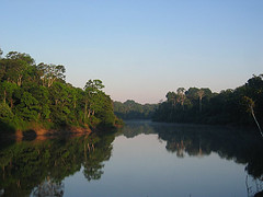 Amazonas