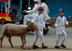 [Foto: niños y carnero.]