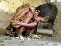 la verguenza del hambre mundial