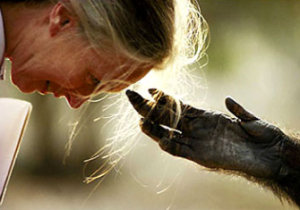 Jane Goodall y Jou Jou